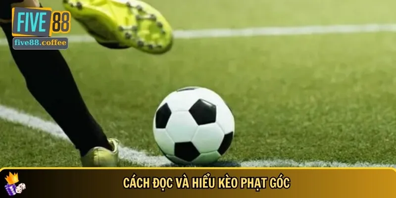 Hướng dẫn cách đọc và hiểu kèo phạt góc dễ nhất