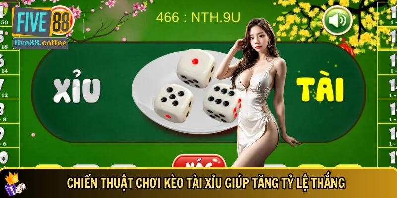 Mẹo chơi kèo tài xỉu hiệu quả giúp tăng tỷ lệ thắng