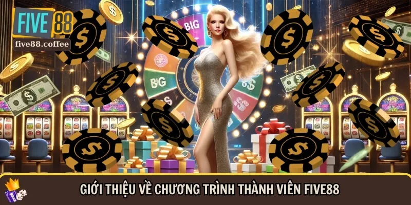 Khám phá tổng quan về quyền lợi thành viên tại FIVE88