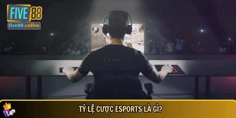 Giới thiệu tổng quan về tỷ lệ cược Esport cho tân thủ